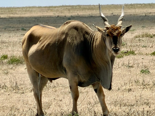 Tanzania Adventure Tours-阿鲁沙必去景点