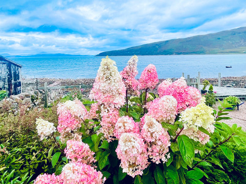 Applecross Beach-Applecross必去景点