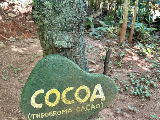 Sirilak Spice & Herbal Garden-Matale必去景点