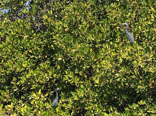 Lagune de la Somone-索蒙必去景点