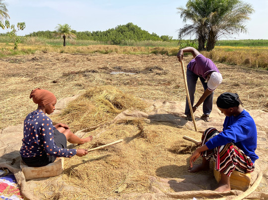 Buba's Gambia - Tours-塞瑞库达必去景点