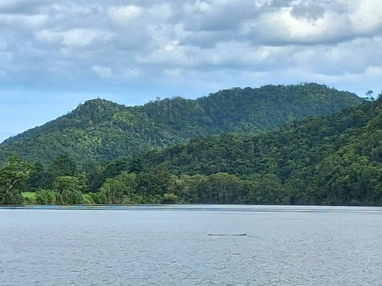 Sightseeing Tours Australia-墨尔本必去景点