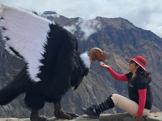 Tierra Milenaria-阿雷基帕必去景点