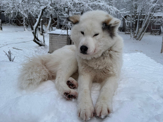 O'Nordic-Posio必去景点