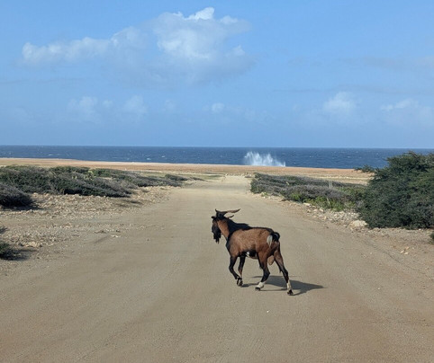 阿勒柯克国家公园-Santa Cruz必去景点