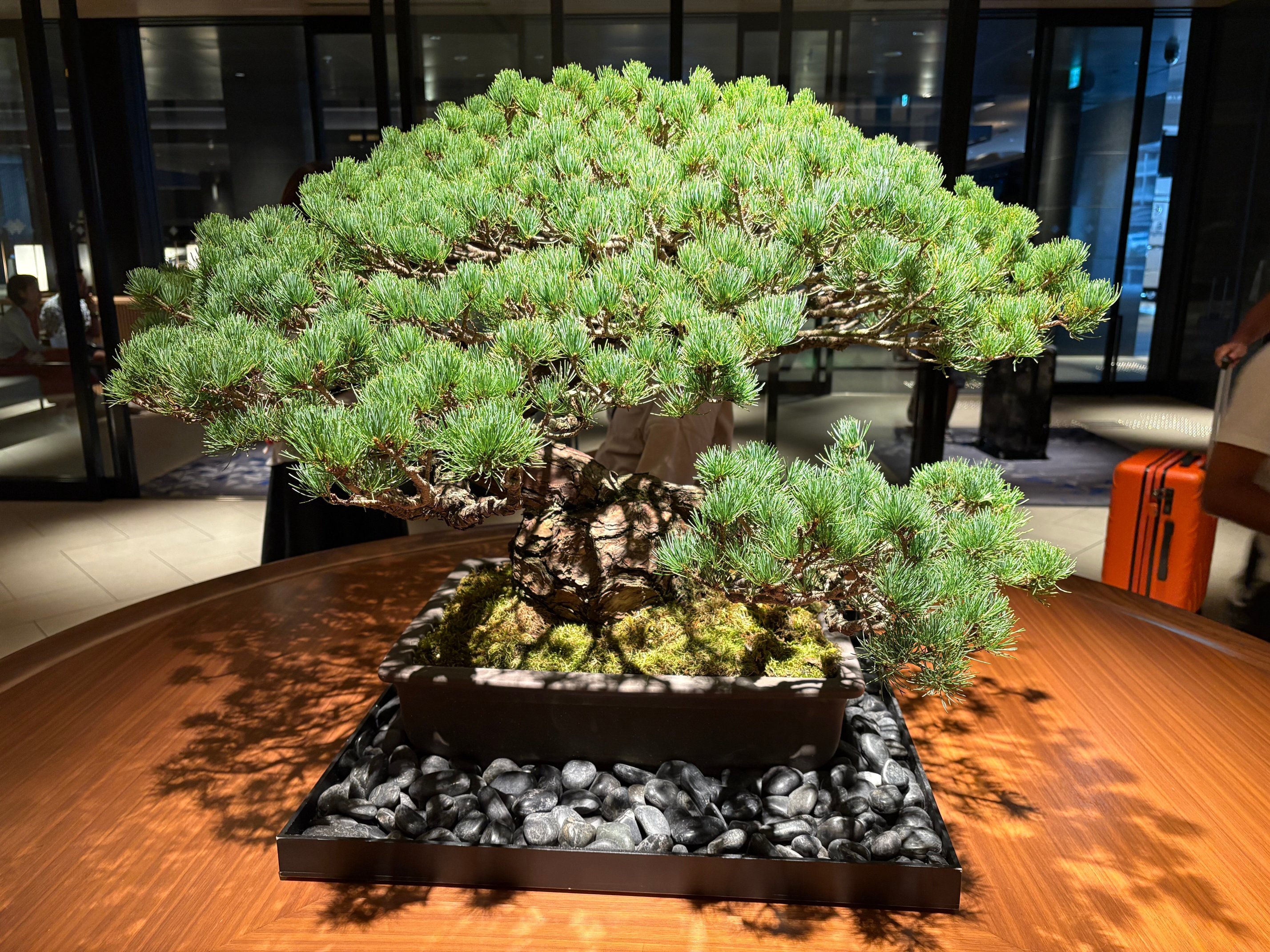 Hilton Hiroshima-浴室