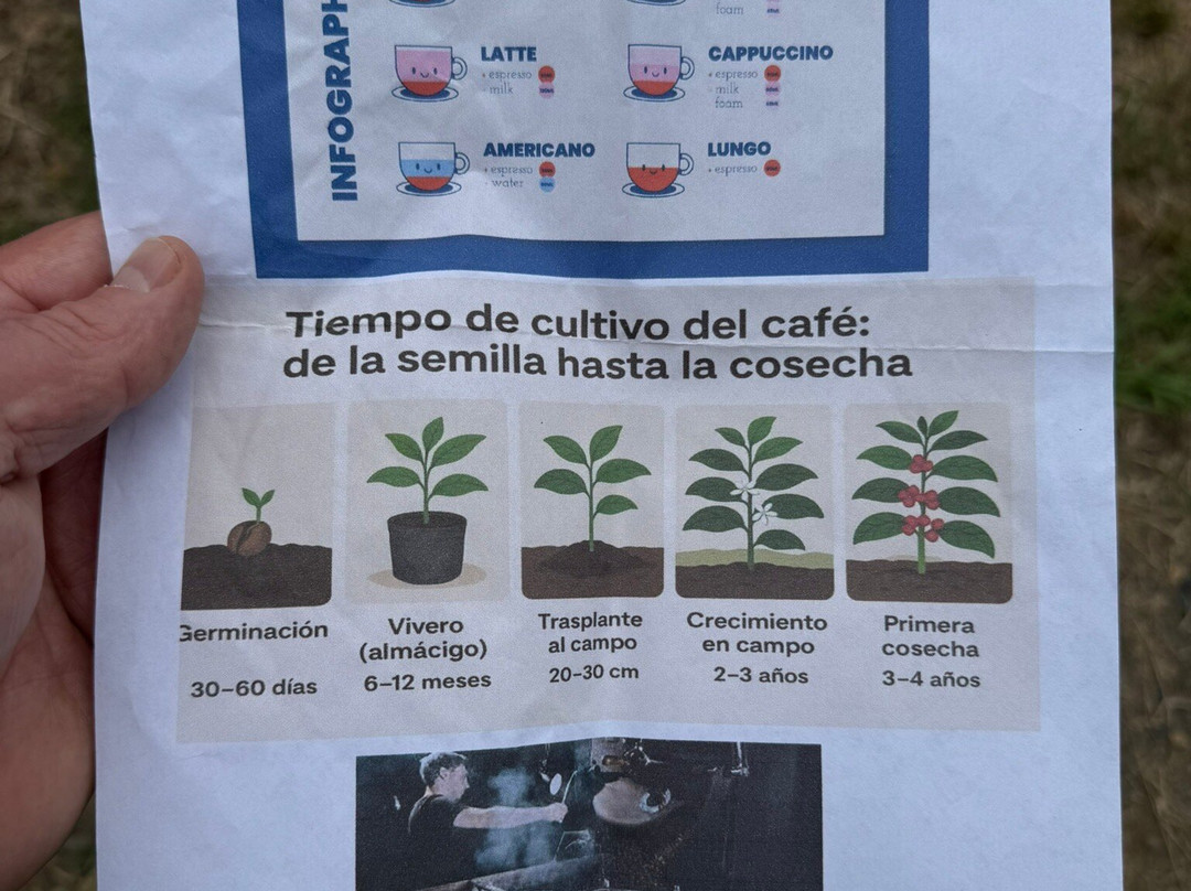 El Diamante精品农场主图