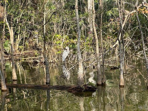 Premier Boat Tours-Mount Dora必去景点