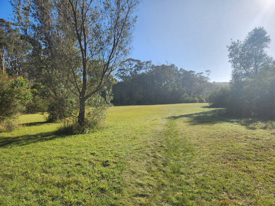 Lake Curalo Boardwalk-伊登港必去景点
