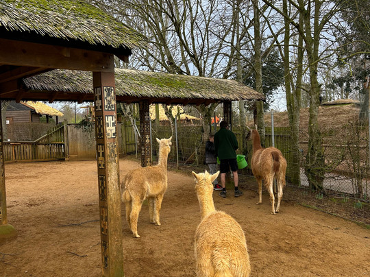 Colchester Zoo-科尔切斯特必去景点
