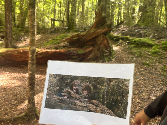 Red Carpet Tours-奥克兰中心地区必去景点