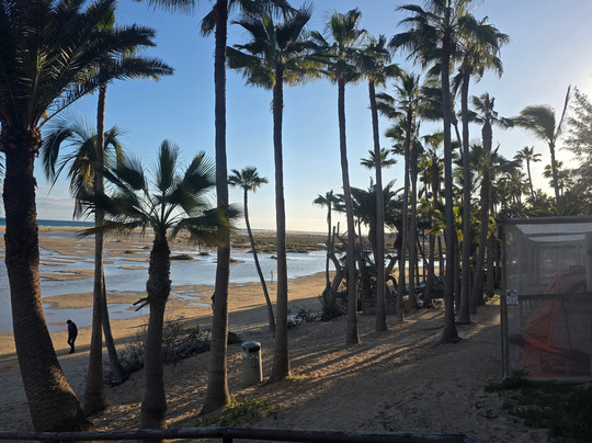 Rene Egli Fuerteventura - Windsurf Kitesurf Wingfoil-Costa Calma必去景点