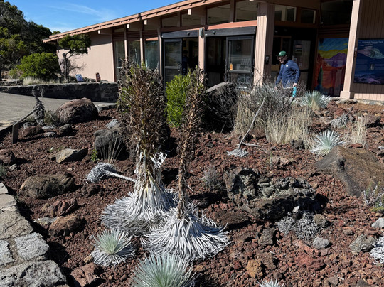 Haleakala Visitor Center-库拉必去景点