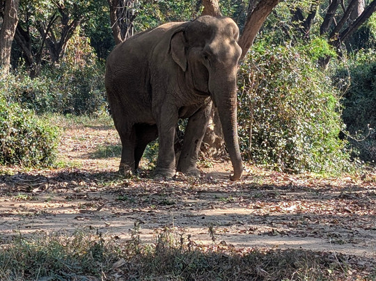 Somboon Legacy Foundation-Klon Do必去景点