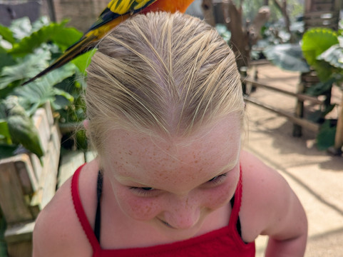 Parotte Ville Bird Sanctuary-圣马丁岛必去景点