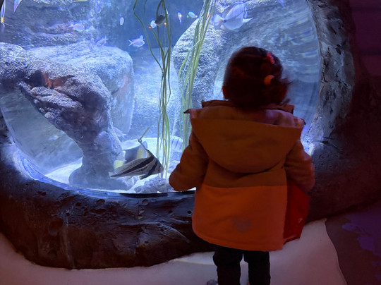 Sea Life Manchester-Trafford Park必去景点