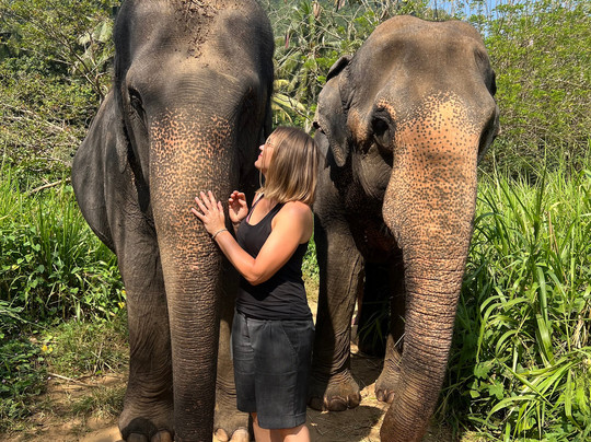 Elephant Freedom Project-凯格勒 必去景点