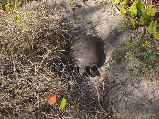 Boca Ciega Millenium Park-Seminole必去景点