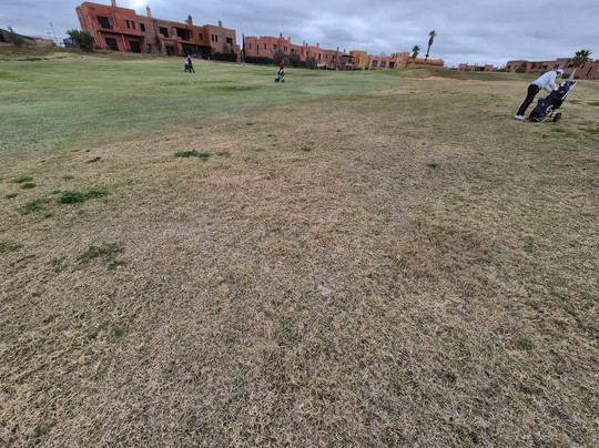 PalmGolf Marrakech Ourika-马拉喀什必去景点