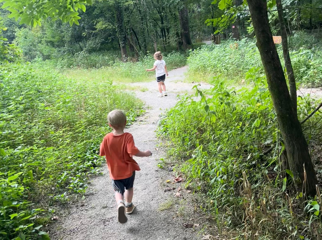 密西西比州自然科学博物馆-杰克逊必去景点