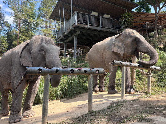 Chang Chill-Mae Win必去景点