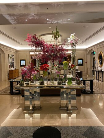 布拉格四季酒店主图