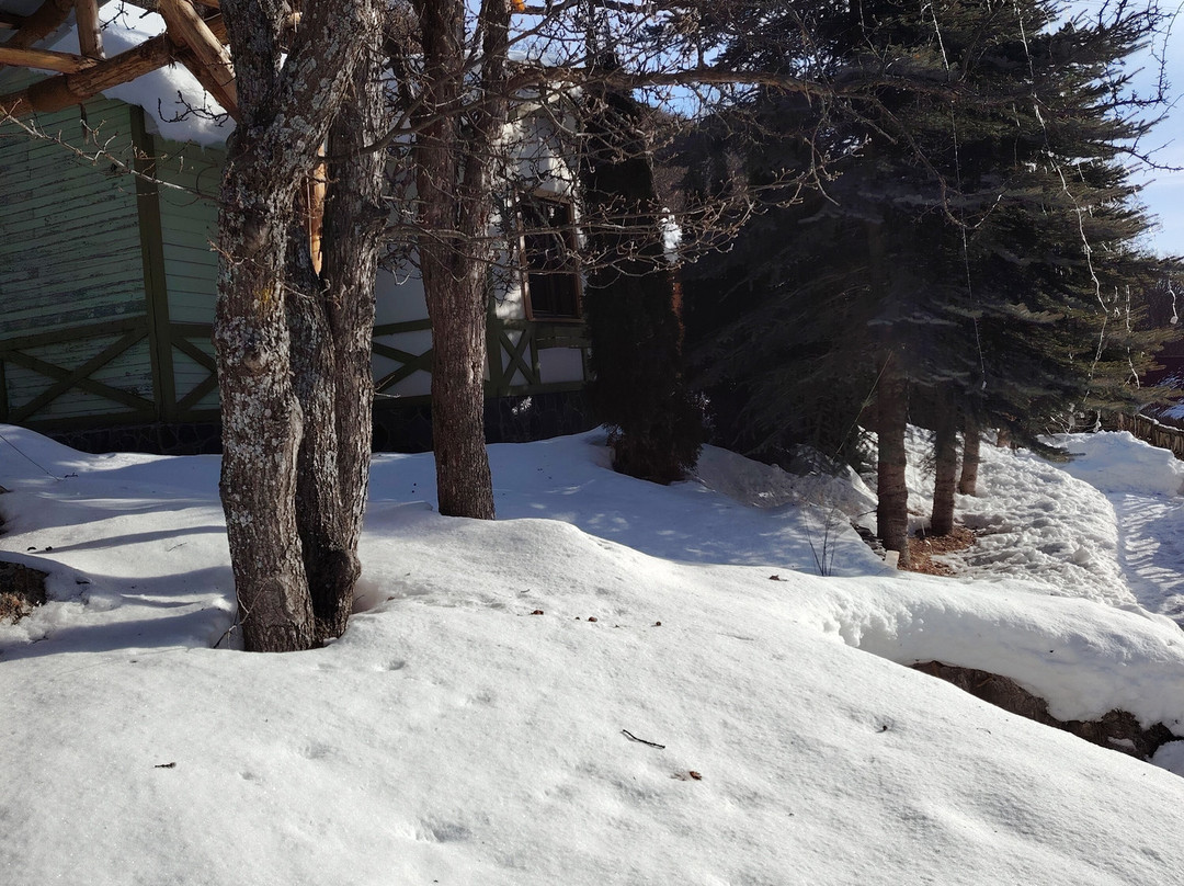 Alva Hotel & Spa主图