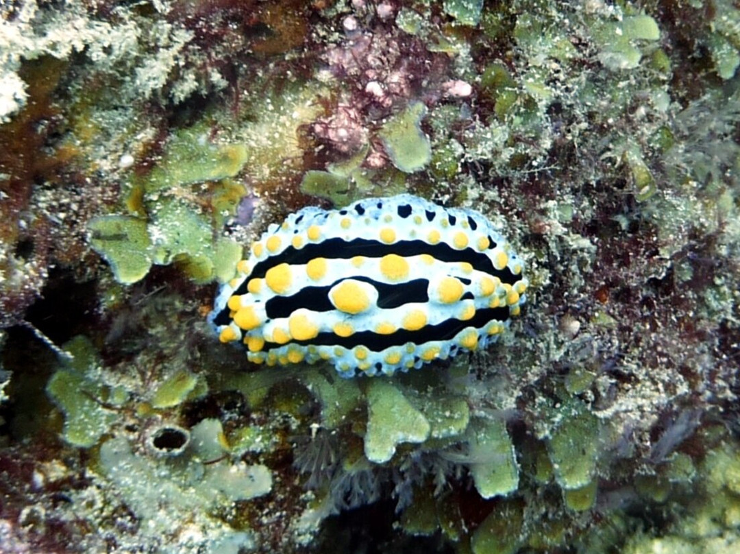 Aqua Ventures-瓦塔木必去景点