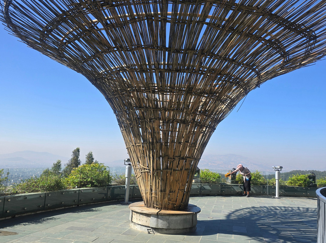 My Ethiopia Tours-亚的斯亚贝巴必去景点