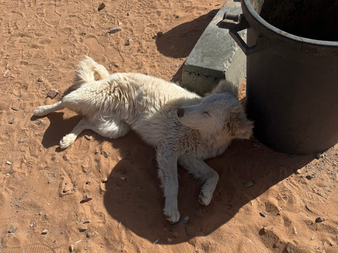 Atlas Tours-安曼必去景点