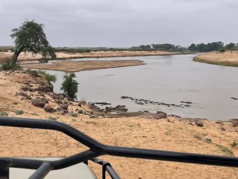 Safari Kenya roberto toba-瓦塔木必去景点