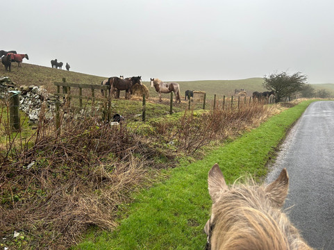 Eat Sleep Ride-Eyemouth必去景点