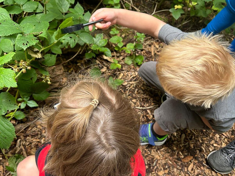 The Cramlington Forager-Cramlington必去景点