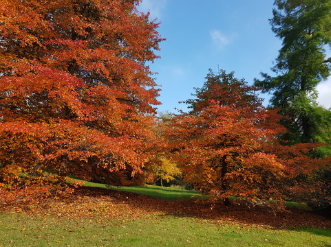 High Beeches Garden-Handcross必去景点