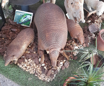 Bioparque Pantanal-大坎普市必去景点