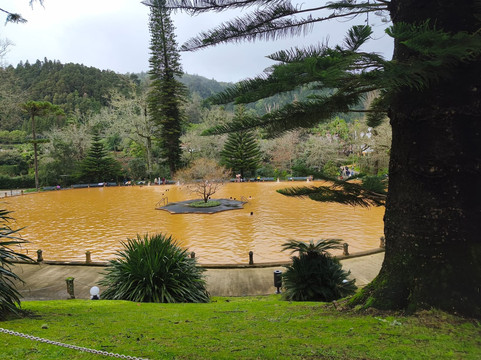 Parque Terra Nostra-富尔纳斯必去景点