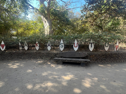 Makasutu Culture Forest-塞瑞库达必去景点