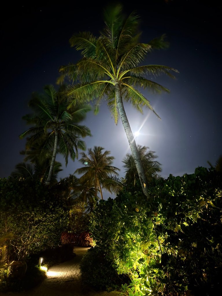 Melia Whale Lagoon Maldives-官方