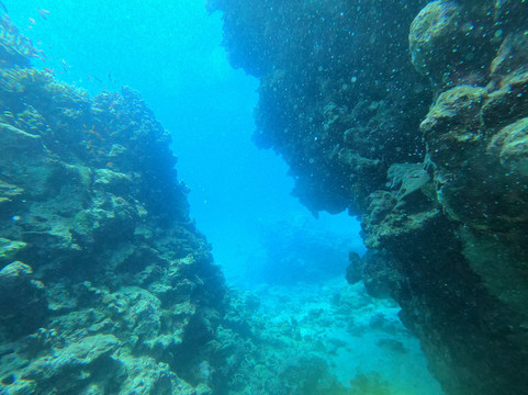 Ducks Diving Safaga-Safaga必去景点