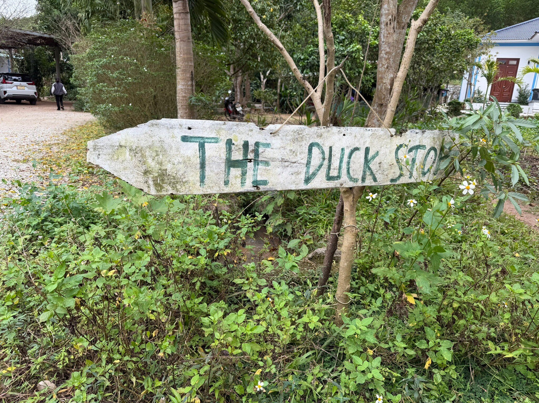 Phong Nha Explorer-洞海必去景点