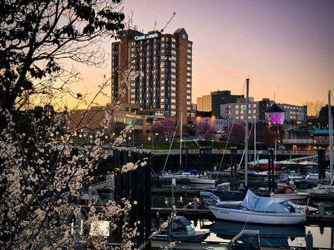 纳奈莫酒店住宿-Coast Bastion Hotel