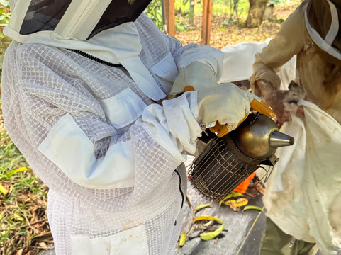 Hanai Hives-哈雷瓦必去景点