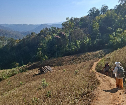 Mike's Authentic Trekking-清迈必去景点