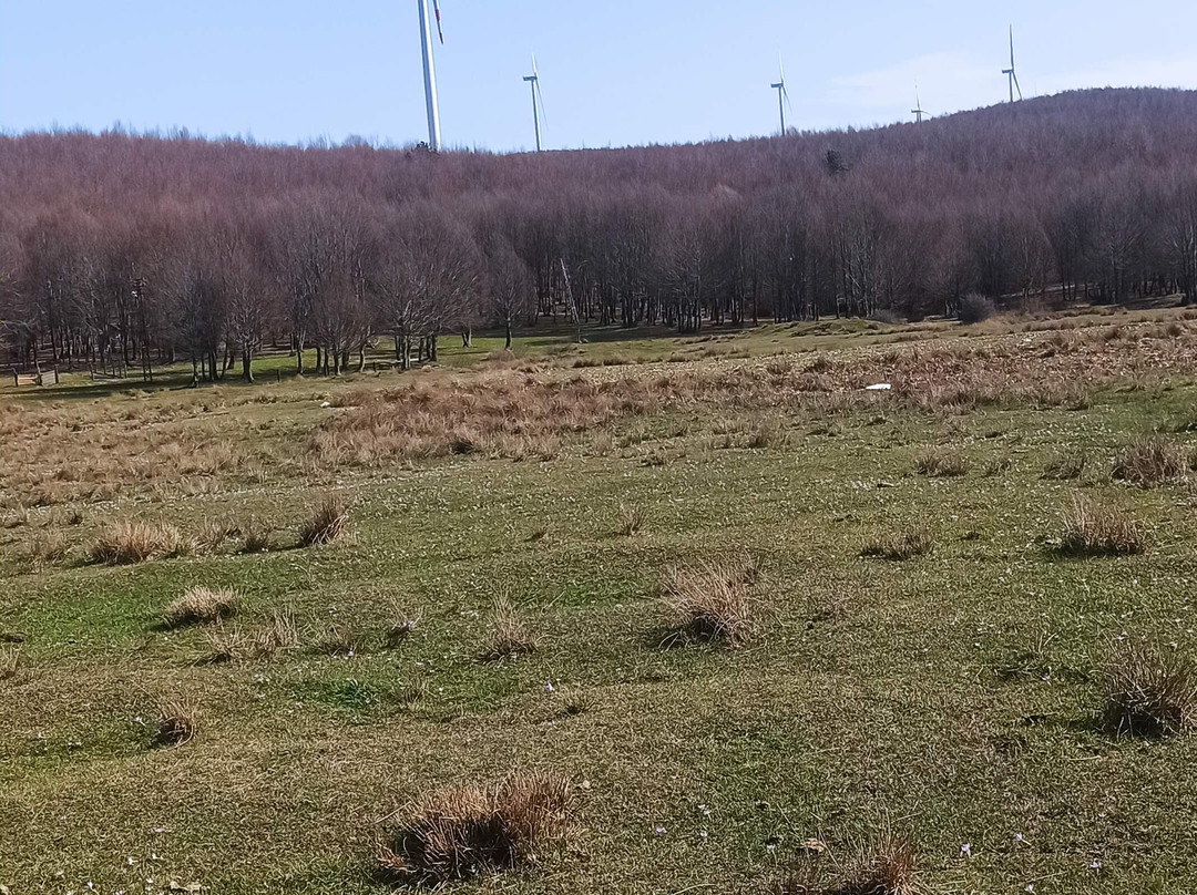 Delmece Yaylasi-Cinarcik必去景点