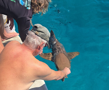 Captain Slate's SCUBA Adventures-Tavernier必去景点