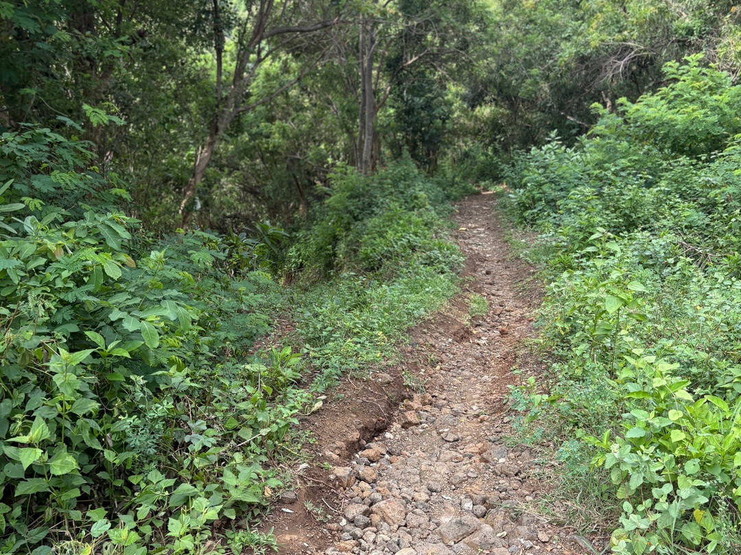 Bias Tugel Beach-曼吉斯必去景点