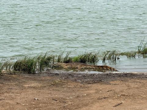 Discover Kruger Safaris-库马堤港必去景点