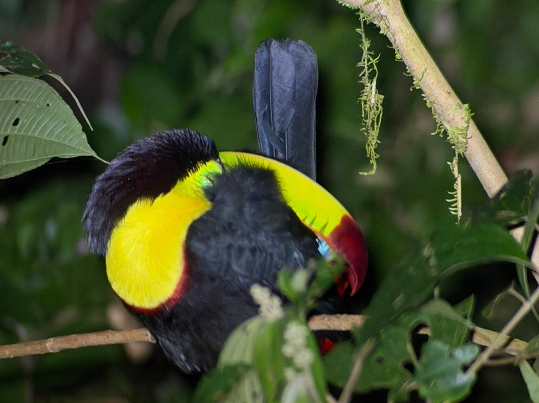 Finca Modelo Ecologica-蒙特沃德必去景点