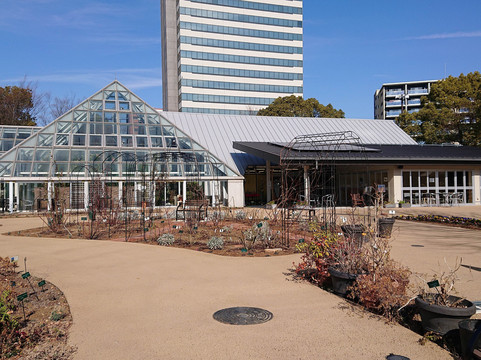 Tama City Green Live Center