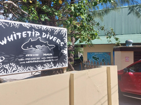 Whitetip Divers-普拉兰岛必去景点
